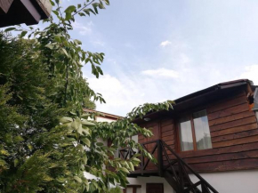 Студио в близост до църквата и цен��ъра на града Bansko